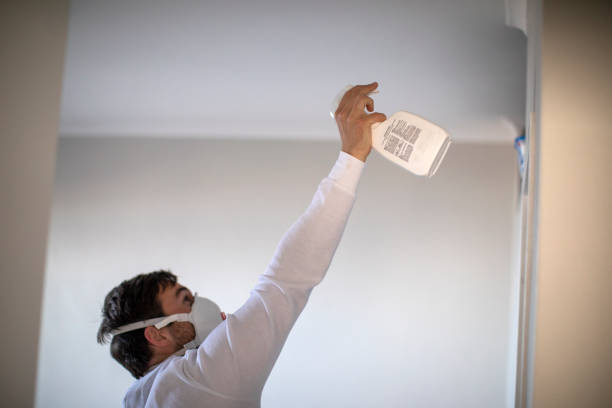 Best DIY Mold Remediation Support Services in Beesleys Point, NJ