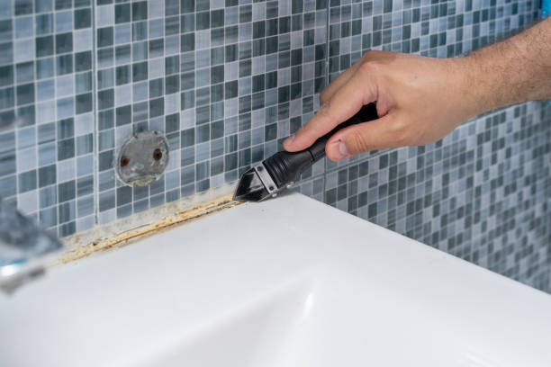 Best Localized Mold Remediation (e.g., coastal areas, humid climates) in Beesleys Point, NJ